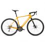 Orbea rower elektryczny GAIN D50 S Mango - Black