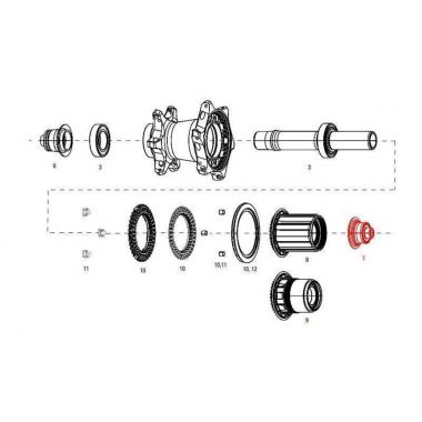 11.2018.033.002 - ZIPP END CAP DS REAR COGNITION NSW QR SRAM Uni