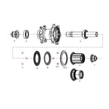 11.2018.035.001 - ZIPP MAGNET SET FOR CLUTCH REAR COGNITION NSW Uni